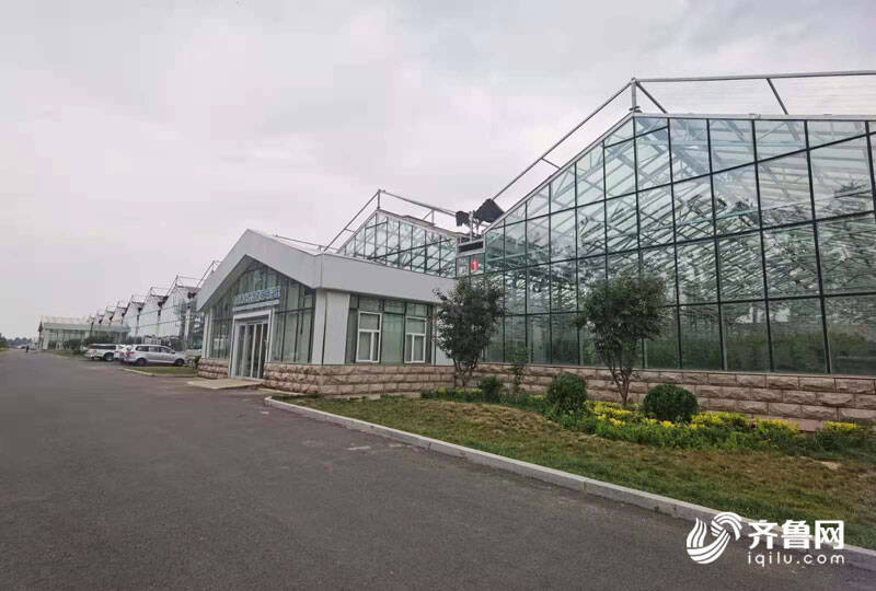 高端智庫看山東 如何豐富“壽光模式”內(nèi)涵？專家支招 結(jié)合新發(fā)展機遇，用數(shù)字經(jīng)濟賦能產(chǎn)業(yè)，推廣新材料技術(shù)
